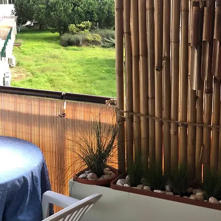 Vacations * Albufeira