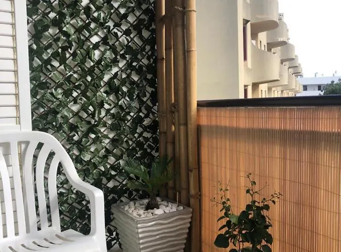 Vacations 阿尔布费拉